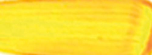 Flourescent Orange-Yellow