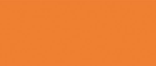 Ægte orange