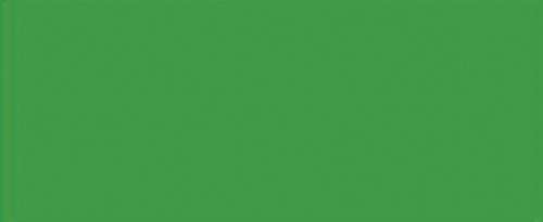 Fluorescerende grøn