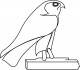 Horus