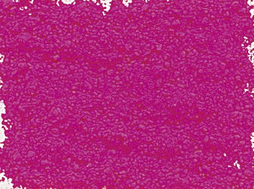 Rosa fluo