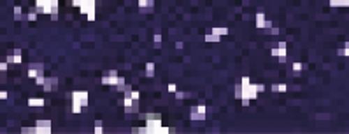 Violet 2