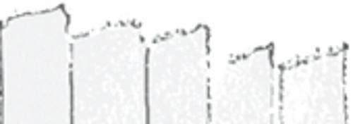 Hvid