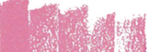 Rosa neontone